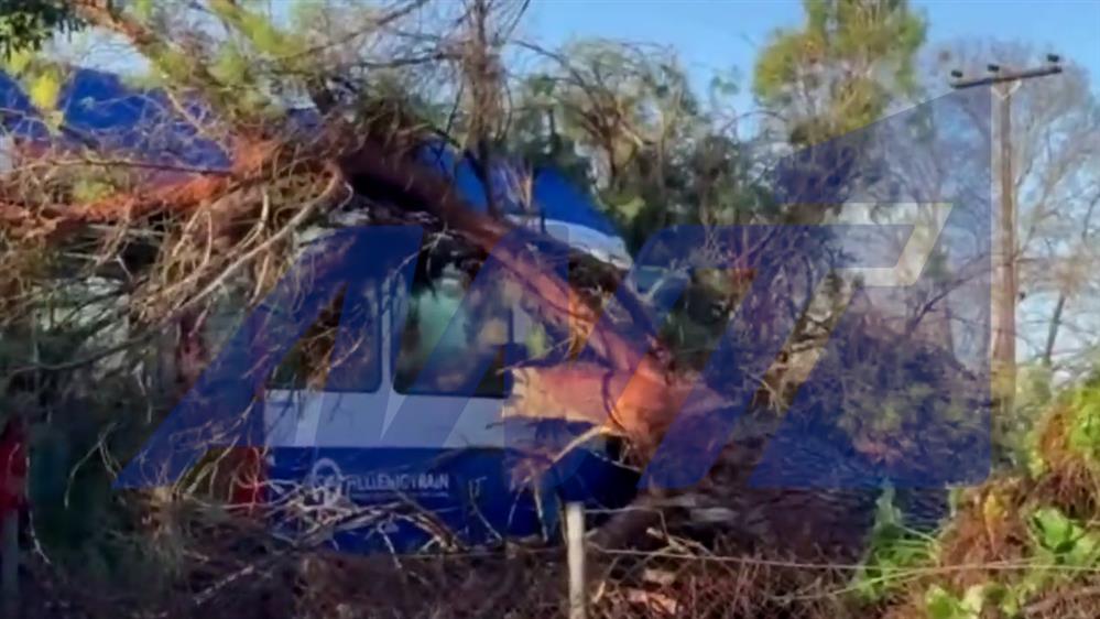 Διαδρομή Πύργος-Κατάκολο:  Τρένο έπεσε επάνω σε δέντρο -Στο νοσοκομείο ο μηχανοδηγος