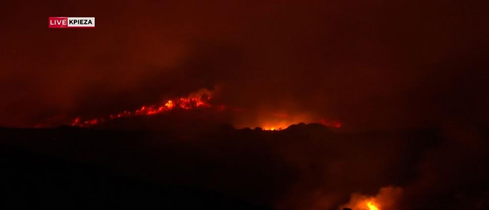 Φωτιά στην Εύβοια: Ανεξέλεγκτο το μέτωπο - Ενισχύονται οι δυνάμεις (εικόνες)
