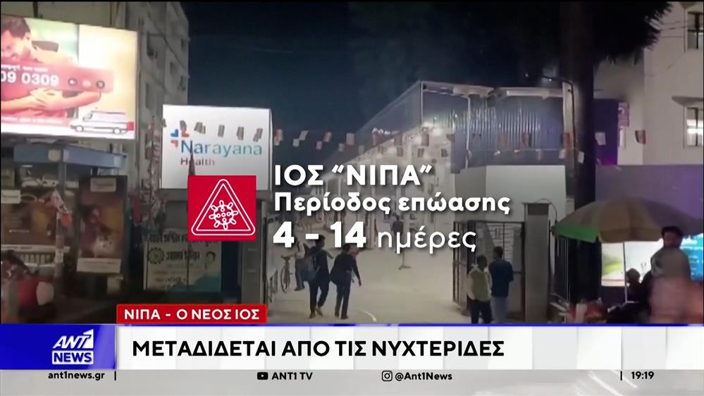 Νέος ιός μεταδίδεται από τις νυχτερίδες