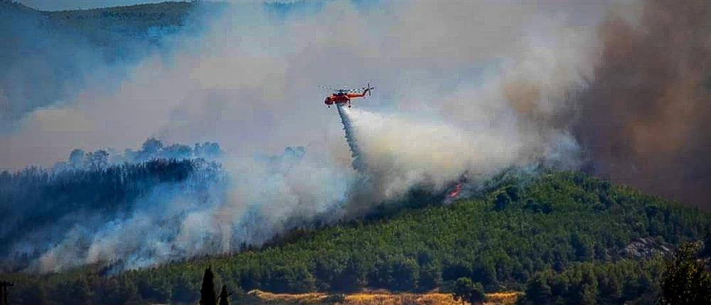 Φωτιά στην Εύβοια: Στη μάχη και τα εναέρια μέσα στον Πισσώνα (εικόνες)