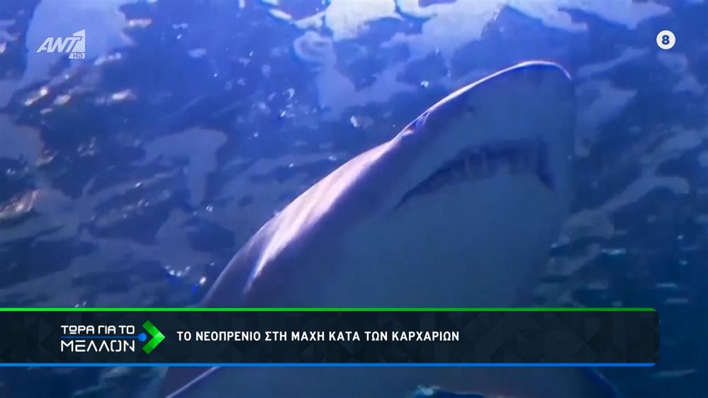 Νεοπρένιο: Ανθεκτικό στο δάγκωμα του καρχαρία