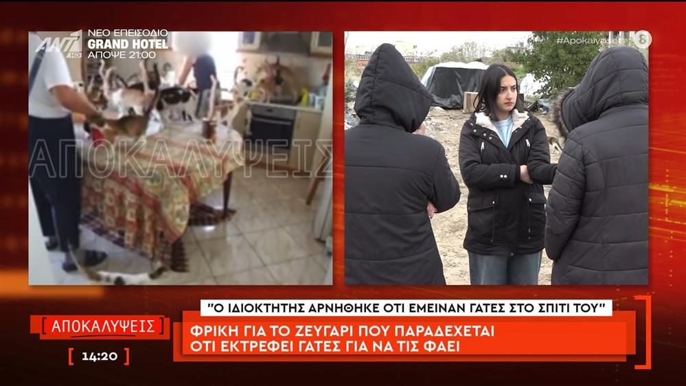 Θεσσαλονίκη: Φρίκη για το ζευγάρι που πραδέχεται οτι εκτρέφει γάτες για να τις φάει