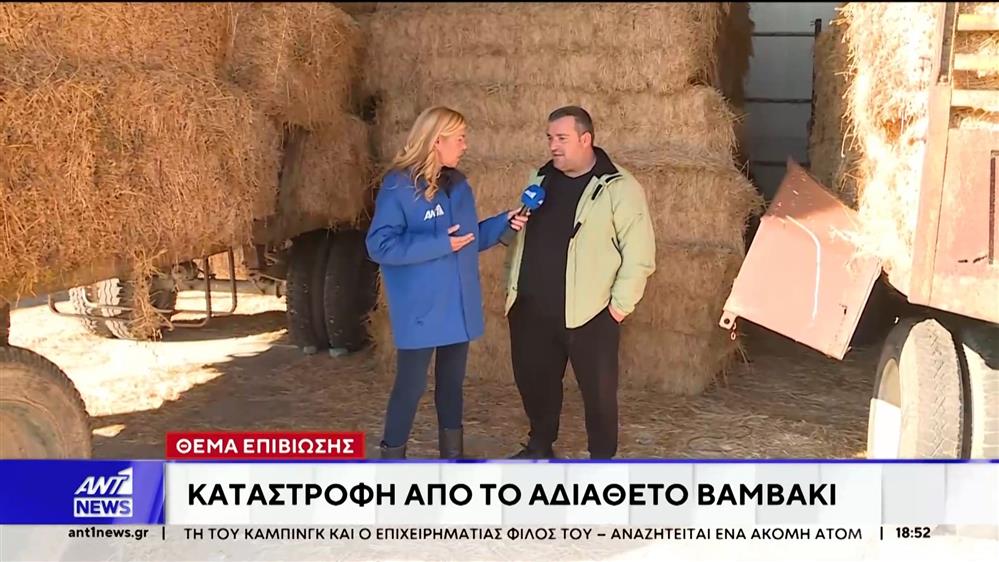 Αγρότες στον ΑΝΤ1: Βλέπουμε κάθε μέρα τα όνειρά μας να μετατρέπονται σε εφιάλτη