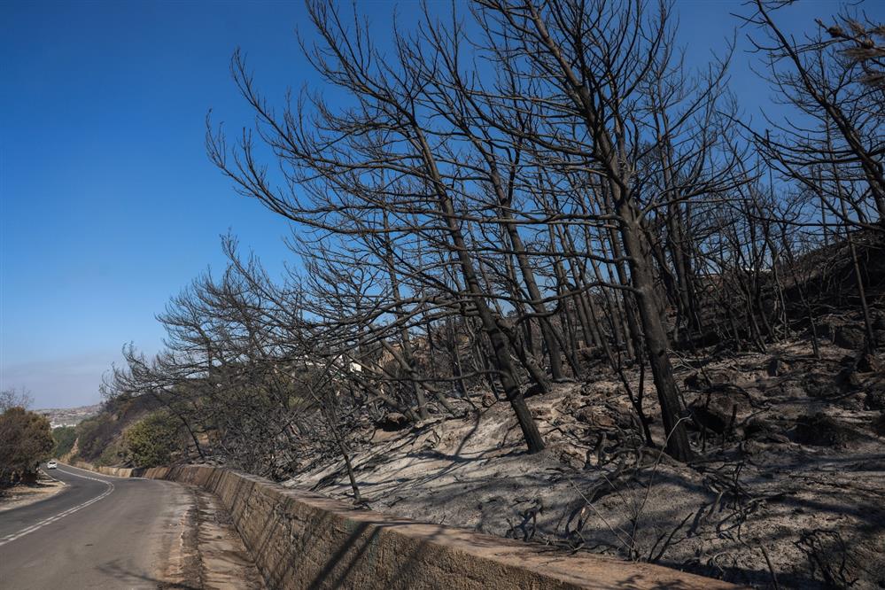 Ιεράπετρα - φωτιά - 2η μέρα