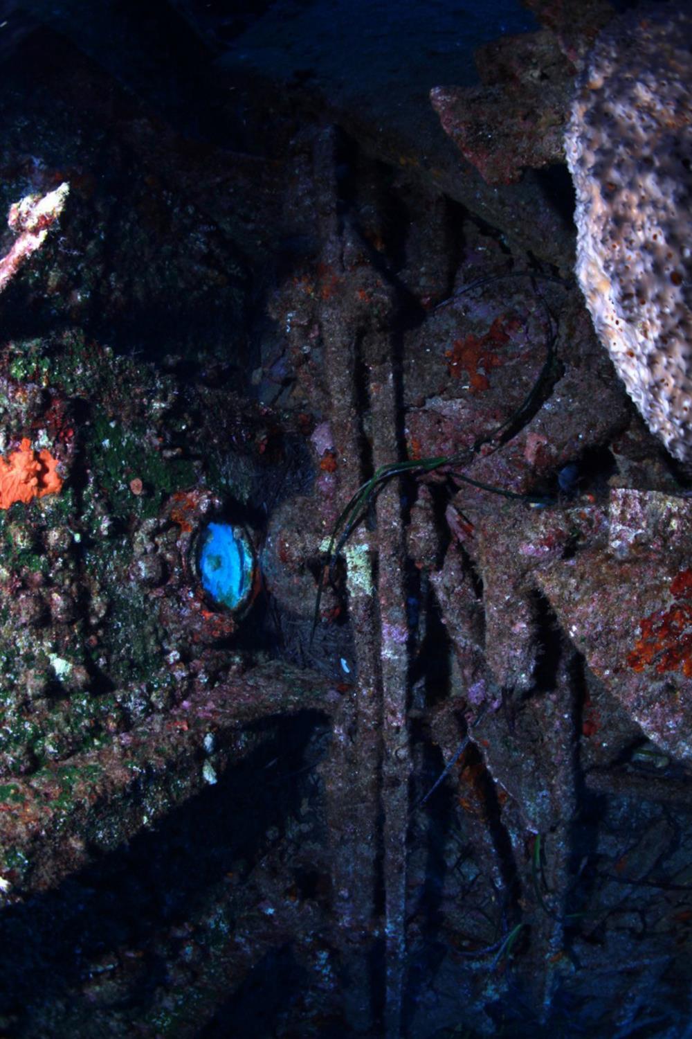 Αδριάς - ναυάγιο - Φαλκονέρα Αδριάς - ναυάγιο - Φαλκονέρα