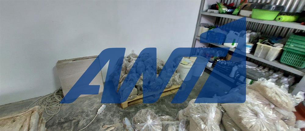 Σπάτα - Διακίνηση - Ναρκωτικά