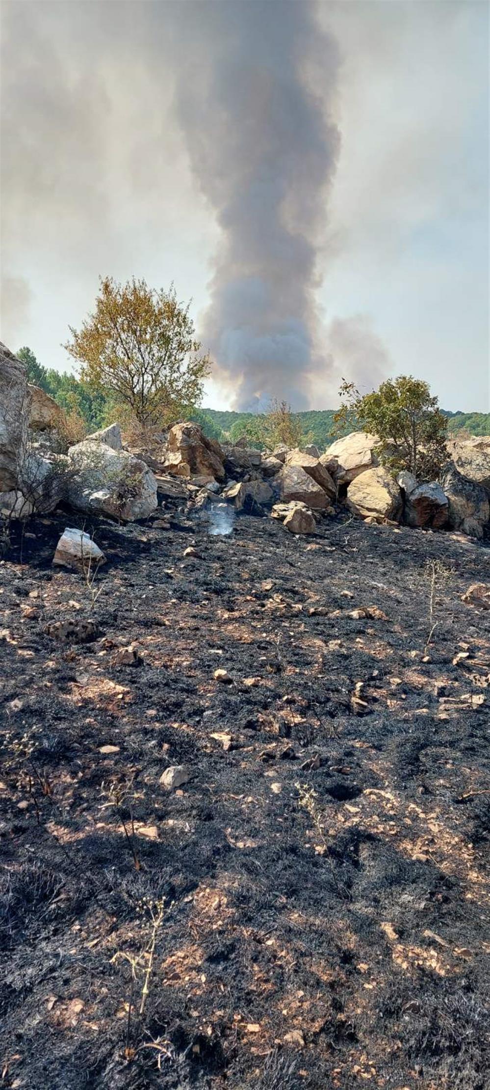 Κοζάνη - φωτιά