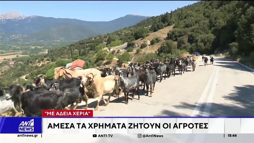 Στα πρόθυρα κατάρρευσης οι αγρότες - Ζητούν άμεσα χρήματα