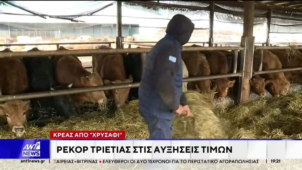Ακρίβεια: Είδος "πολυτελείας" το κρέας