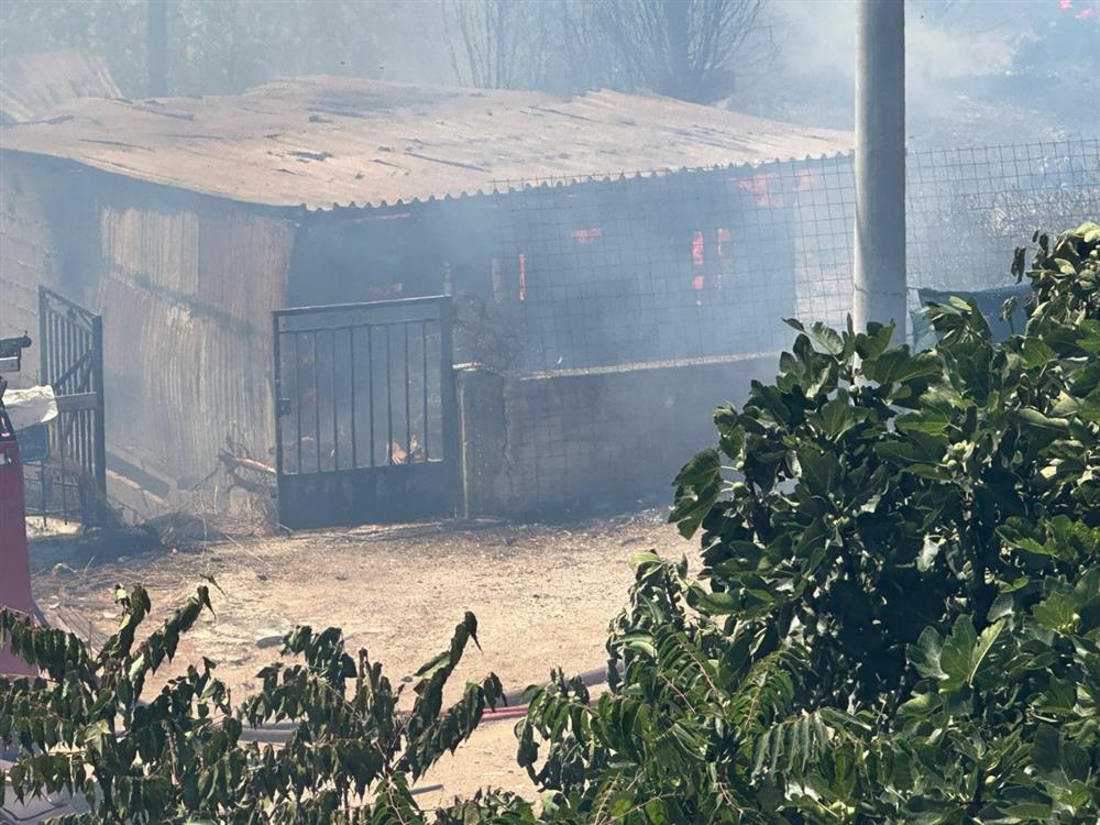 Φωτιά - Κόκκινος Μύλος Φωτιά - Κόκκινος Μύλος