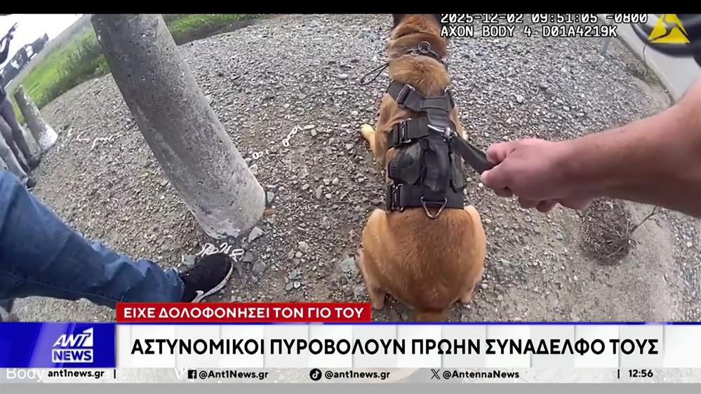 Καλιφόρνια: Αστυνομικοί πυροβόλησαν πρώην συνάδελφό τους