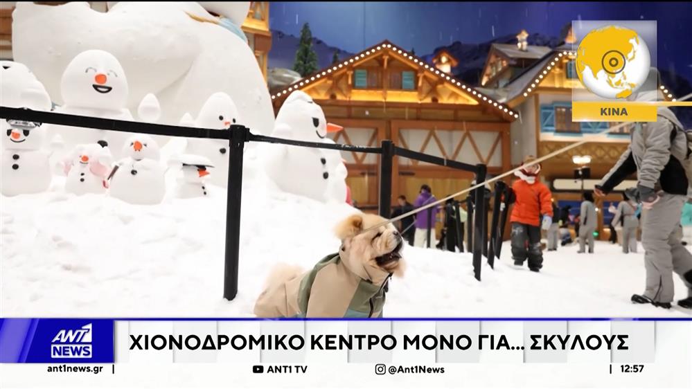 Σαγκάη: Χιονοδρομικό κέντρο μόνο για... σκύλους