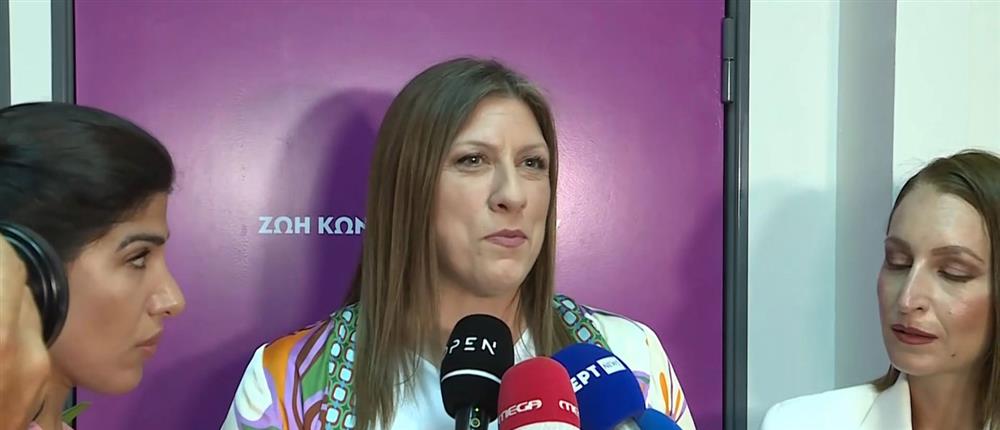 Ευρωεκλογές - Κωνσταντοπούλου: Η Πλεύση Ελευθερίας θα έχει ευρωβουλευτή υπόδειγμα