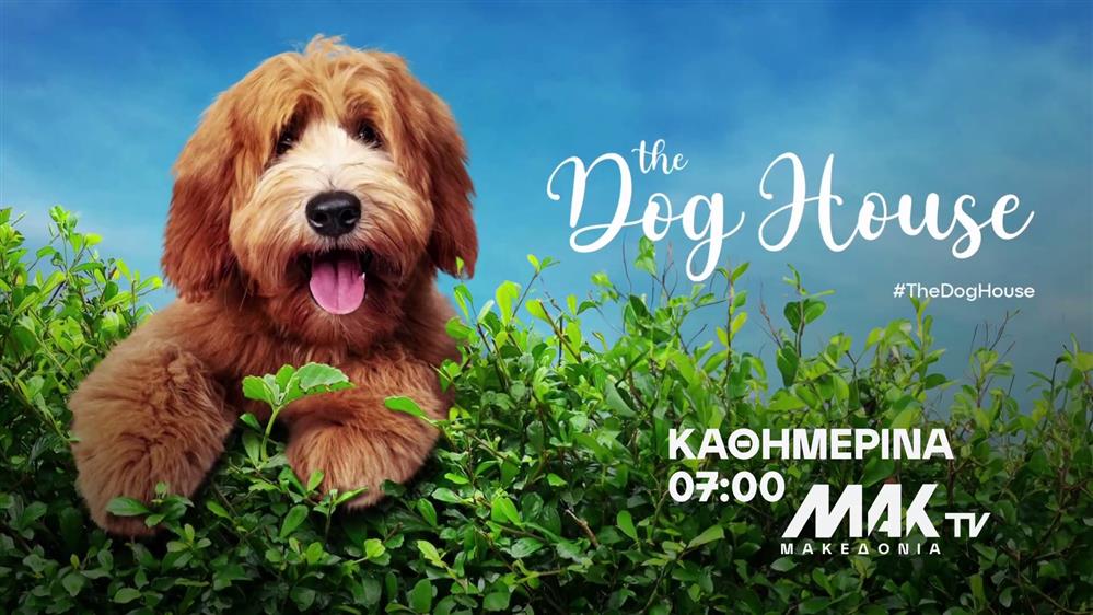 The Dog House - Καθημερινά στις 06:00