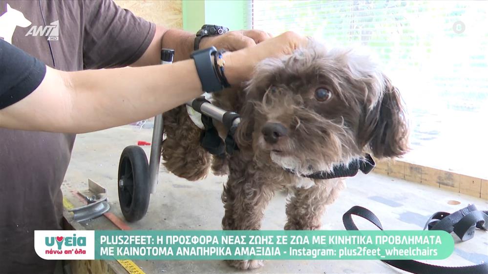 ΥΓΕΙΑ & ΑΛΛΗΛΕΓΓΥΗ - Επεισόδιο 74 - 11ος ΚΥΚΛΟΣ