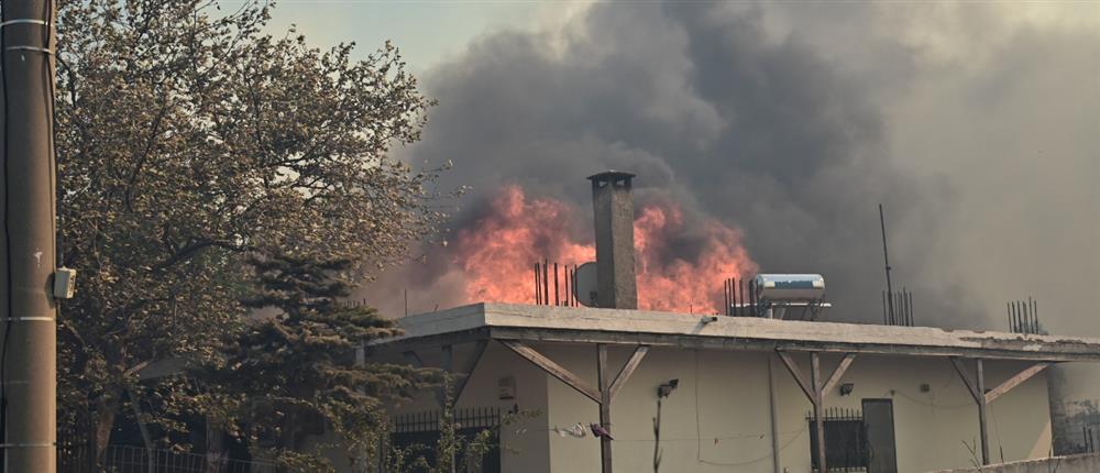 φωτιά Λρυονέρι Αττικής