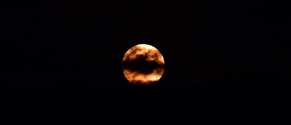 ροζ - Πανσεληνος