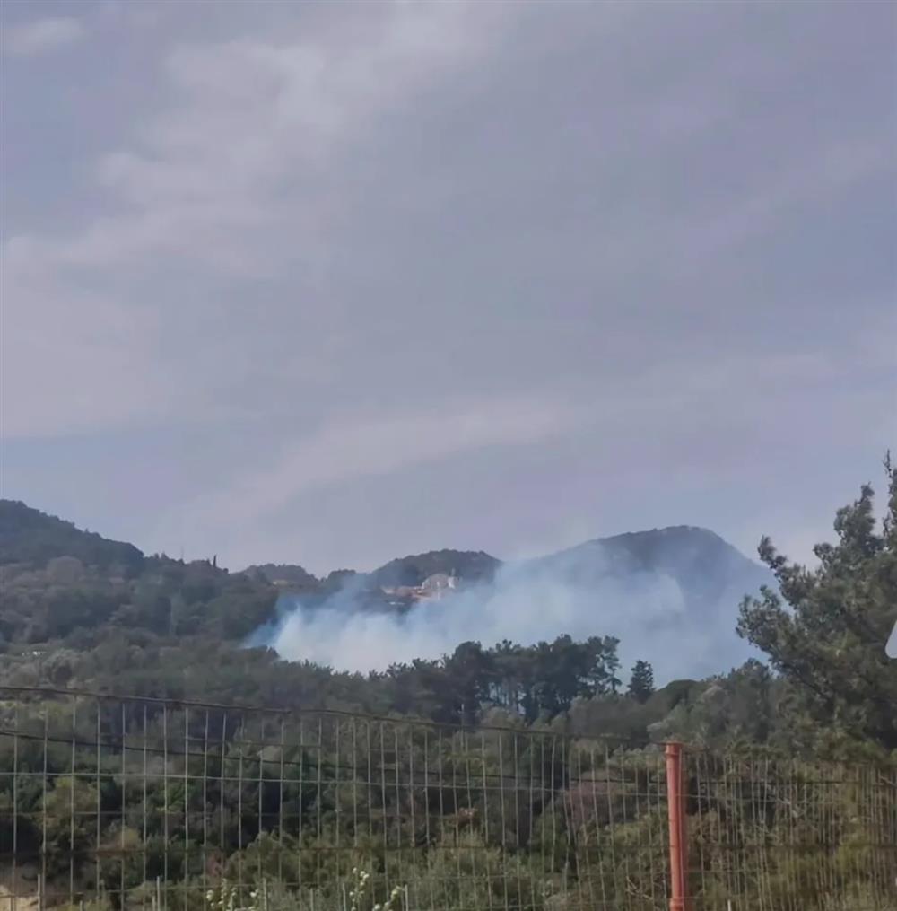 Σάμος - φωτιά