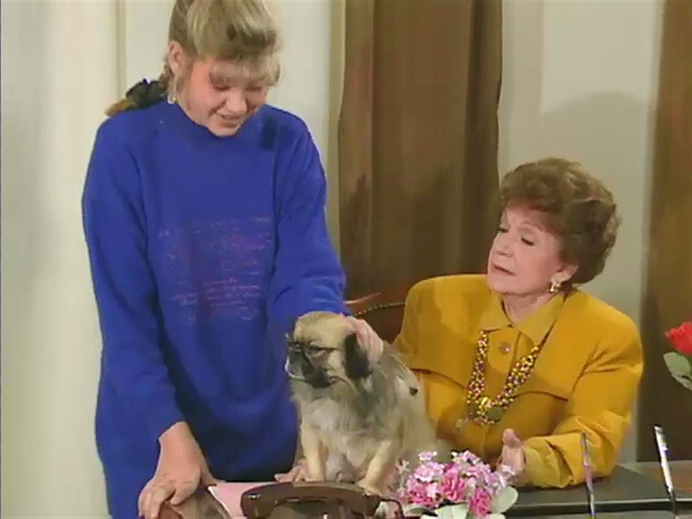 Μάλιστα Κύριε (επεισ.:18 - Η κιβωτός του Νώε)