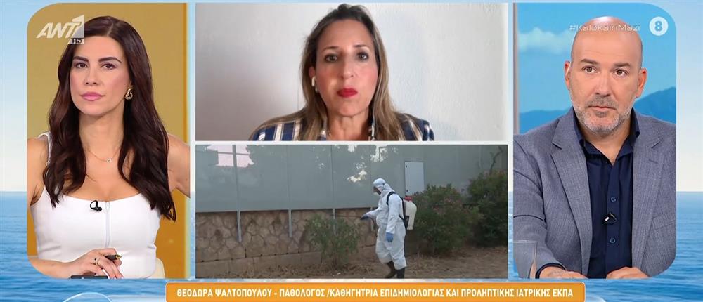 Ψαλτοπούλου  για το ιό του δυτικού Νείλου: Σταδιακά ίσως γίνεται ένα πανευρωπαϊκό πρόβλημα