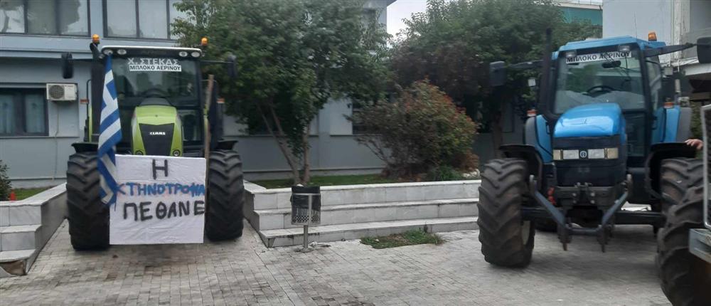 ΜΑΓΝΗΣΙΑ - ΑΓΡΟΤΕΣ