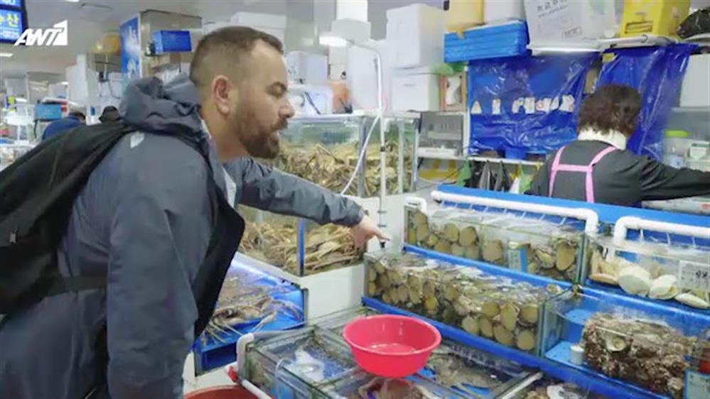 STREAT FOOD – ΕΠΕΙΣΟΔΙΟ 8