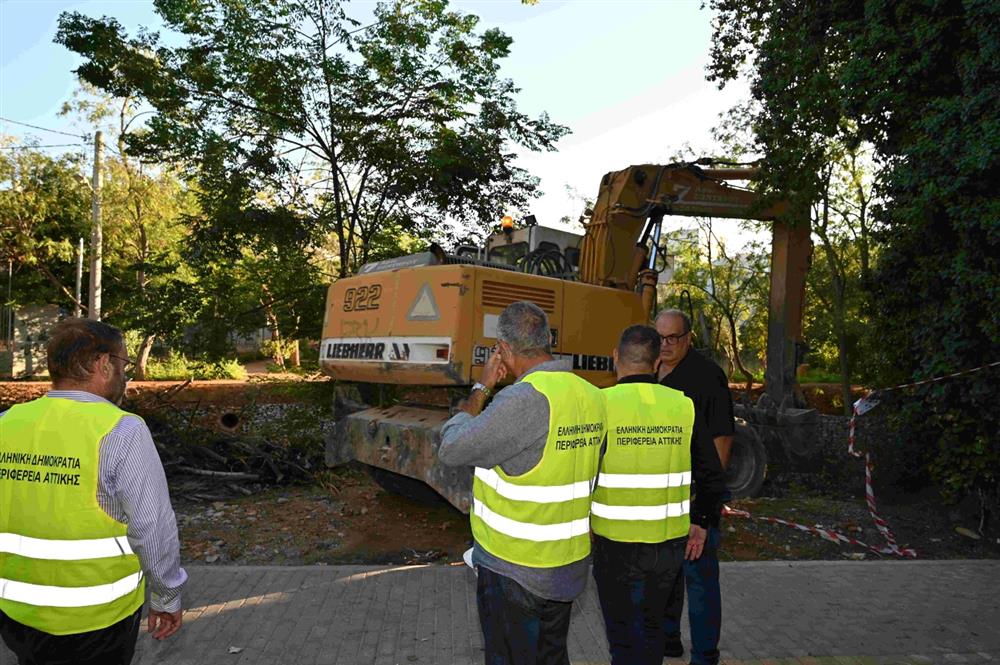 Χαεδαλιάς - αυτοψία - ρέμα ποδονίφτη Χαεδαλιάς - αυτοψία - ρέμα ποδονίφτη
