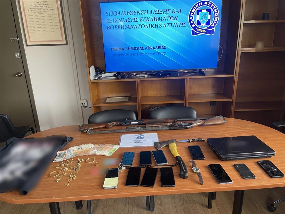 εγγκληματική - οργάνωση - κλοπές εγγκληματική - οργάνωση - κλοπές