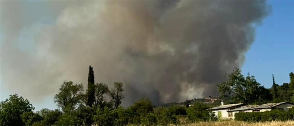 Φωτιά στην Κορινθία: Καίει ανεξέλεγκτη - Ενισχύθηκαν οι πυροσβεστικές δυνάμεις (εικόνες)