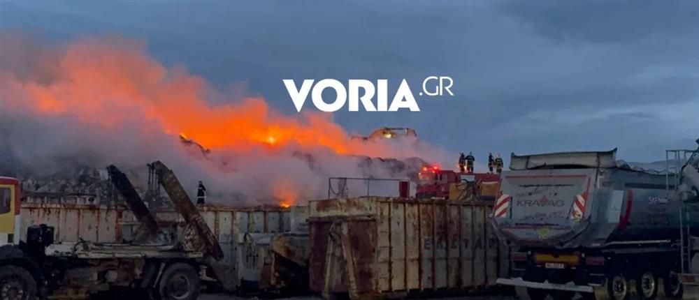 Θεσσαλονίκη: Φωτιά σε εταιρεία με ανακυκλώσιμα υλικά στα Διαβατά  (βίντεο)