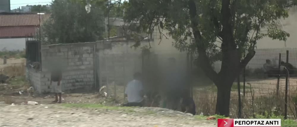 Ρομά