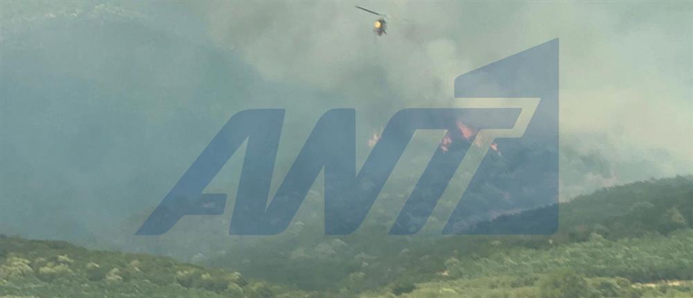 Θεσσαλονίκη: Φωτιά στην Μεγάλη Βόλβη