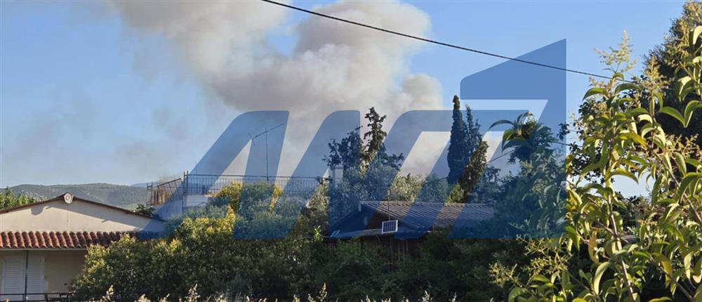 Φωτιά στον Ωρωπό