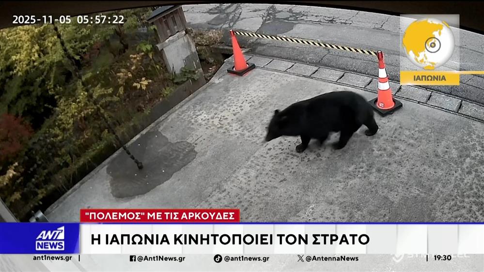 Πόλεμος με τις αρκούδες - Η Ιαπωνία κινητοποιεί τον στρατό