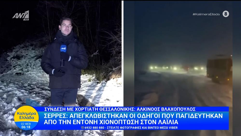Σέρρες: Απεγκλωβίστηκαν οι οδηγοί που παγιδεύτηκαν από την έντονη χιονόπτωση στον Λαϊλιά – Καλημέρα Ελλάδα – 02/02/2026