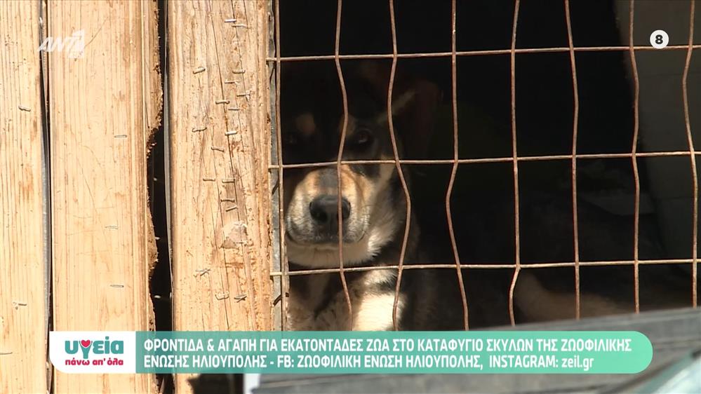 ΥΓΕΙΑ & ΑΛΛΗΛΕΓΓΥΗ - Επεισόδιο 57 - 11ος ΚΥΚΛΟΣ