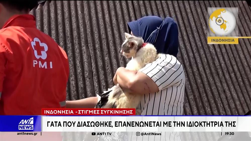 Ινδονησία: Στιγμές συγκίνησης για γάτα που διασώθηκε και επανενώνεται με την ιδιοκτήτρια της