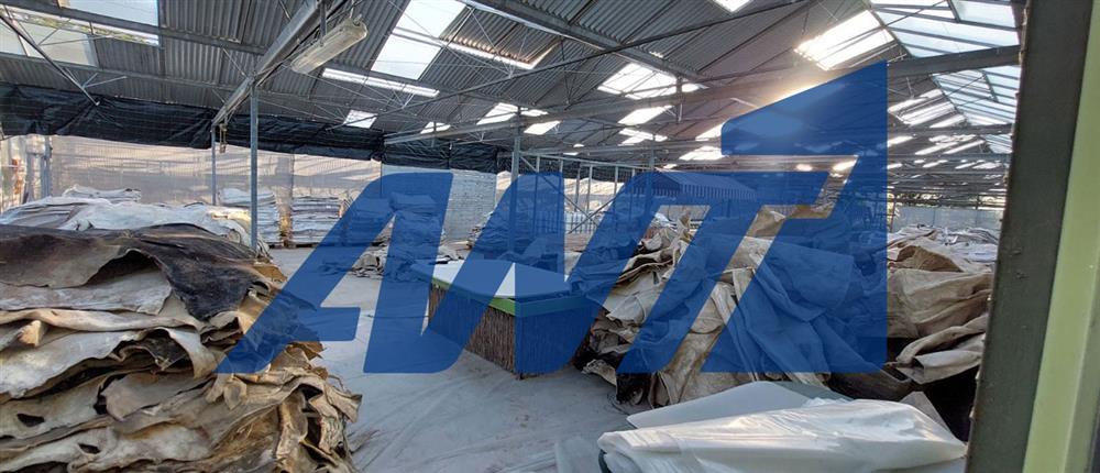 Σπάτα - Διακίνηση - Ναρκωτικά