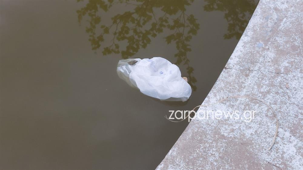 ΧΑΝΙΑ - ΝΕΚΡΕΣ ΧΕΛΩΝΕΣ - ΣΚΟΥΠΙΔΙΑ ΧΑΝΙΑ - ΝΕΚΡΕΣ ΧΕΛΩΝΕΣ - ΣΚΟΥΠΙΔΙΑ