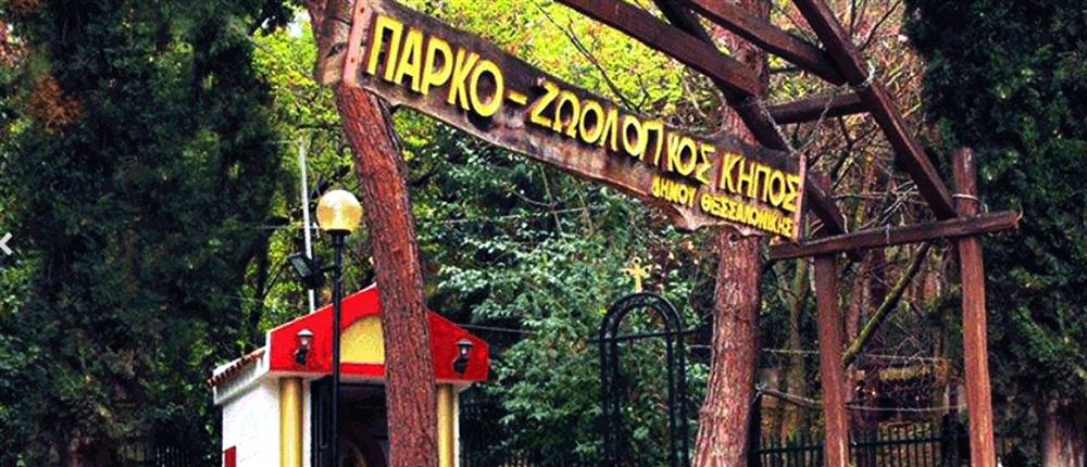 Θεσσαλονίκη: Ο Ζωολογικός κήπος κλείνει μέχρι νεωτέρας
