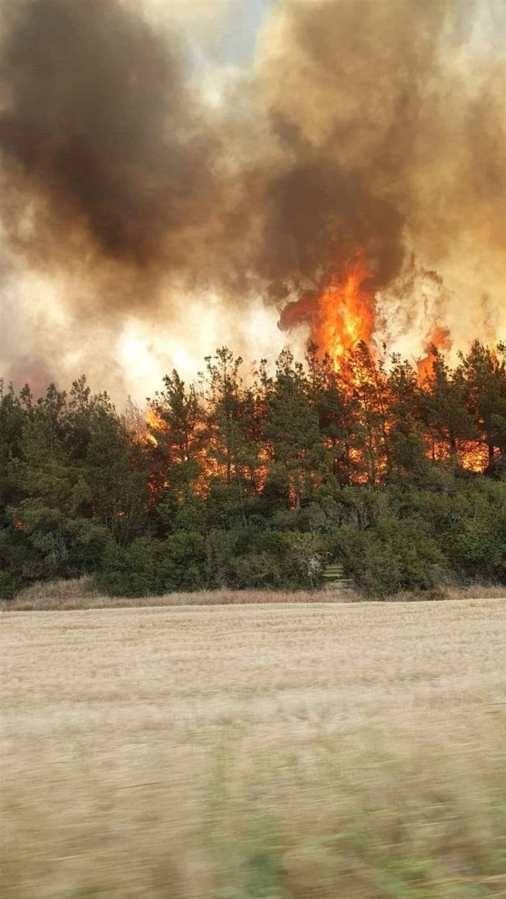 Φωτιά - Βόλβη Φωτιά - Βόλβη