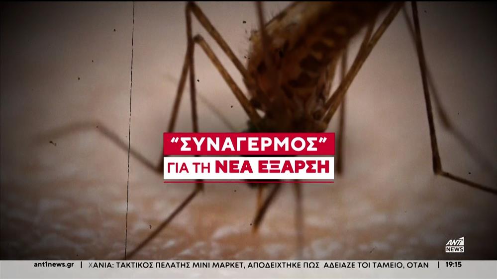 Ραγδαία αύξηση παρουσιάζουν τα κρούσματα του ιού του Δυτικού Νείλου
