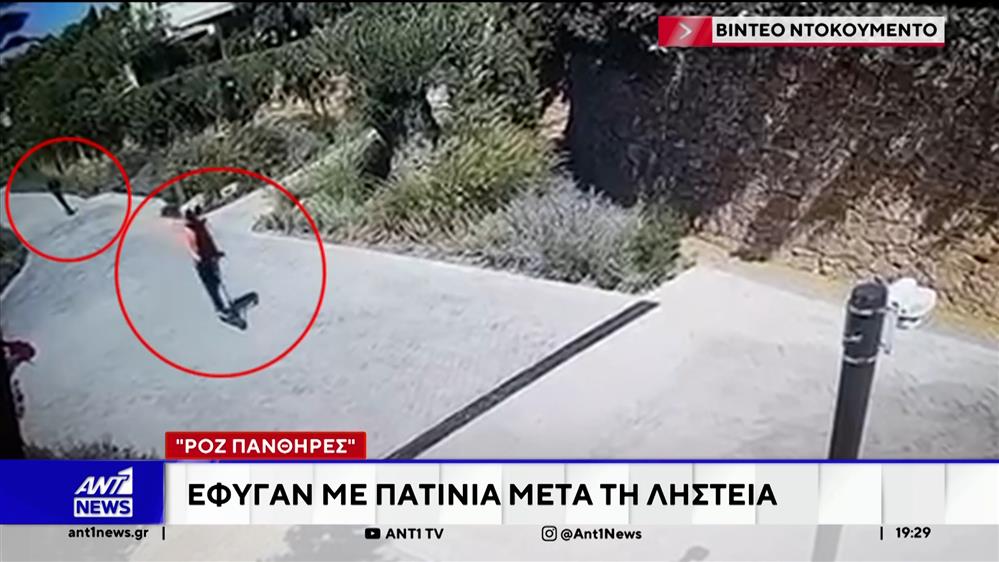 "Ροζ Πάνθηρες" - Ζητά την έκδοση των δύο μελών συμμορίας για να δικαστούν για τη ληστεία στη Χαλκιδική