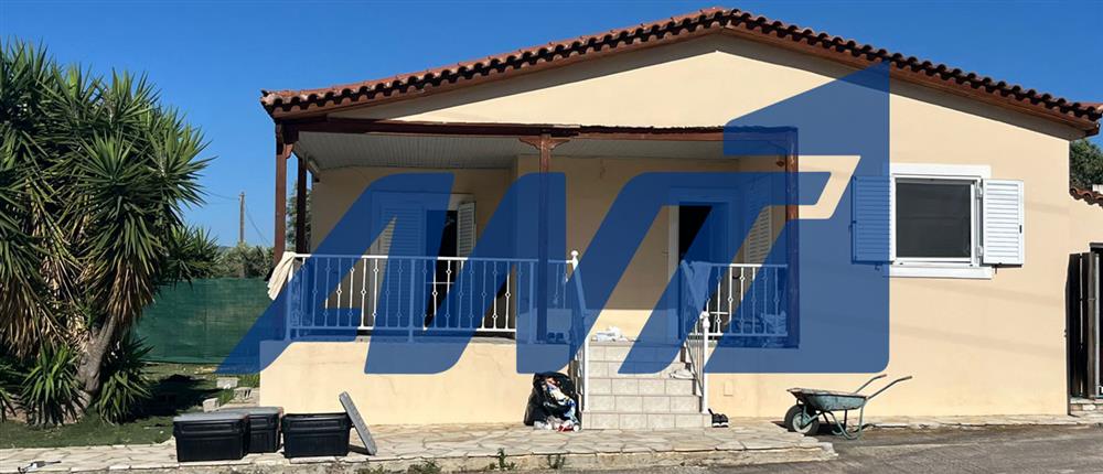 Σπάτα - Διακίνηση - Ναρκωτικά