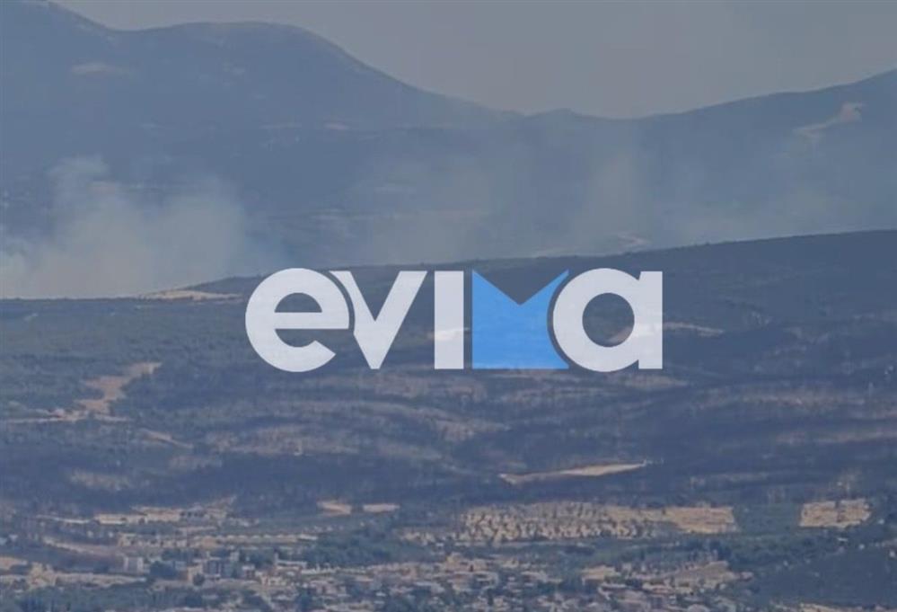 Εύβοια - φωτιά - Πισσώνα