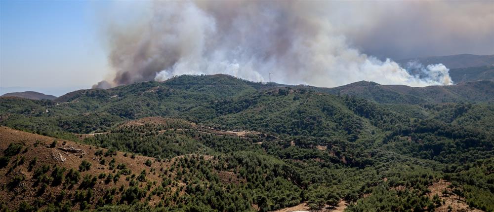 Χίος - Φωτιά