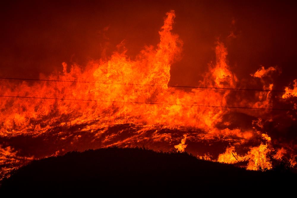 φωτια ηλεία