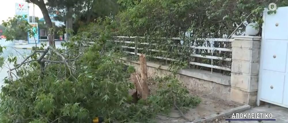 Τροχαίο - Καλημέρα Ελλάδα Τροχαίο - Καλημέρα Ελλάδα