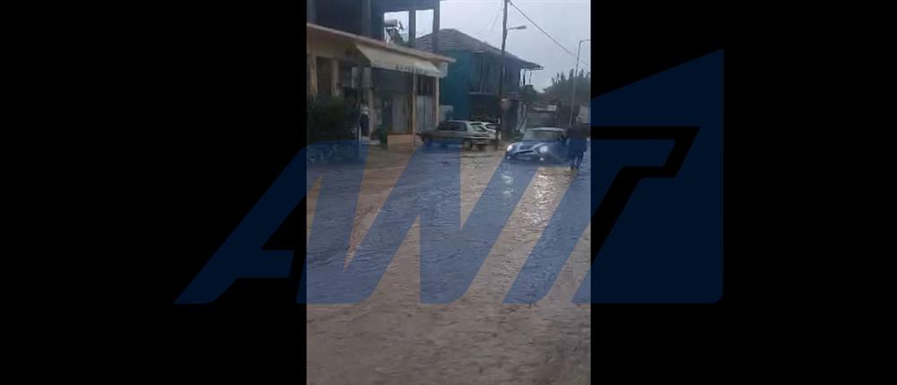 Κακοκαιρία Byron: "Βούλιαξαν" από τη λάσπη πολλές περιοχές στη Λακωνία (βίντεο)