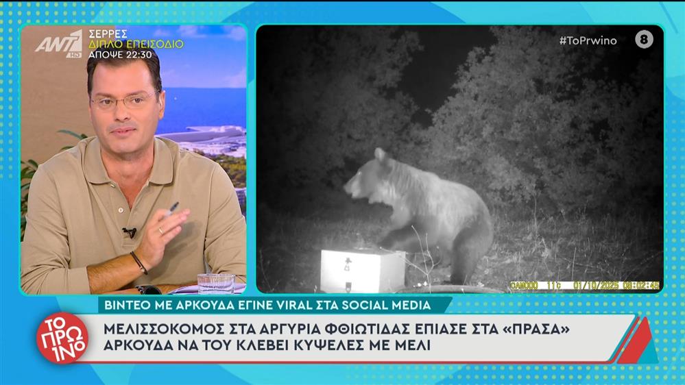 Μελισσοκόμος έπιασε στα "πράσα" αρκούδα να του κλέβει κυψέλες με μέλι - Το Πρωινό - 07/10/2025